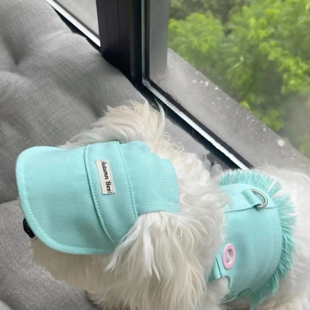 Candy Denim: Colorful Denim Vest for Pets