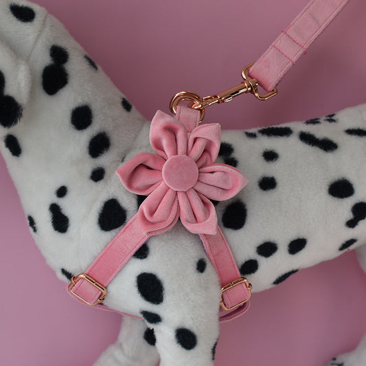 Style Paws: Blush Pink Fashion Personality Pet Collar with Flower Design