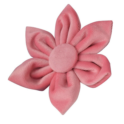 Style Paws: Blush Pink Fashion Personality Pet Collar with Flower Design